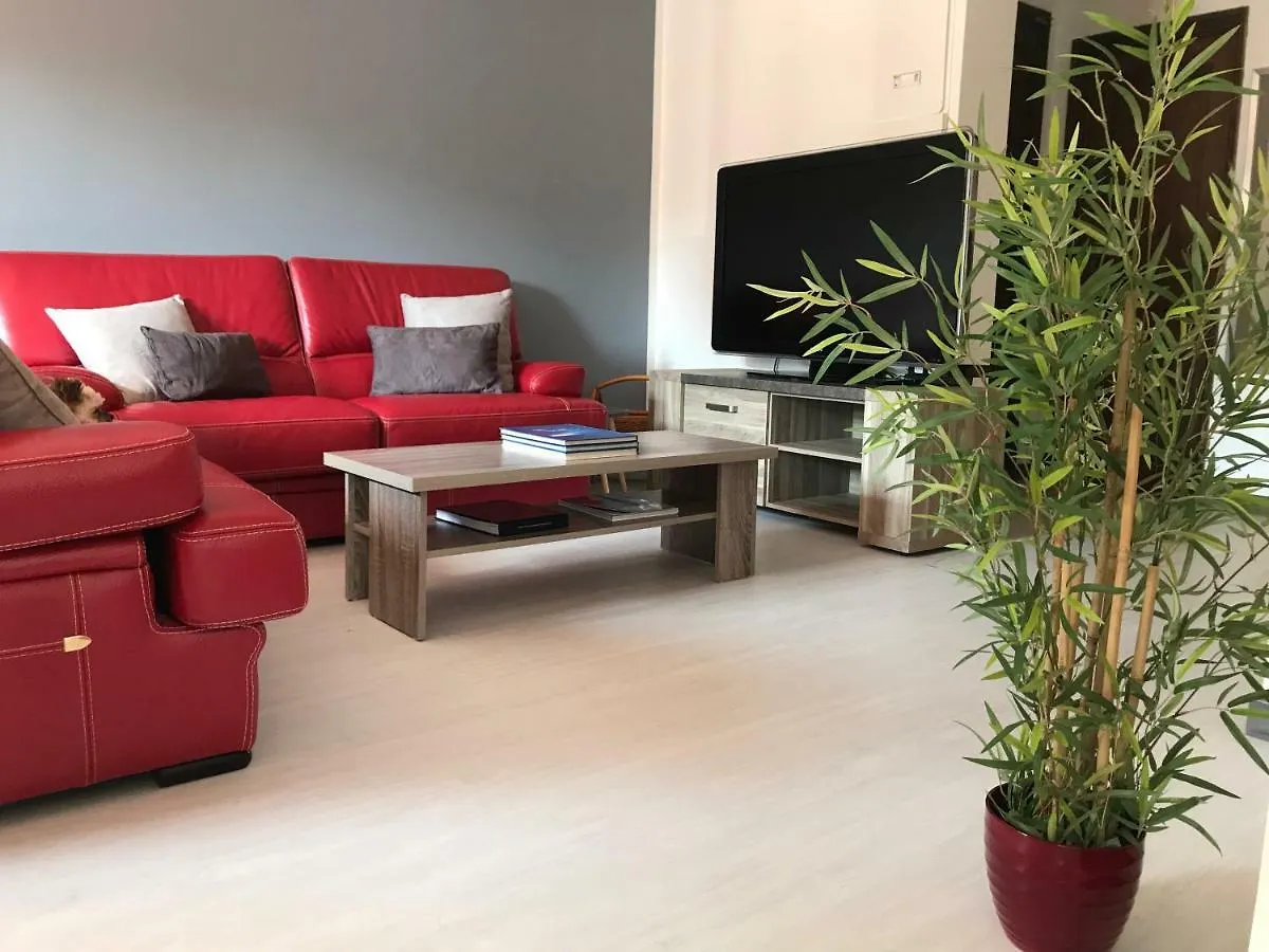 Debbie'S Crew House Hostel Αντίμπ Γαλλία